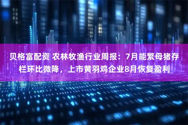 贝格富配资 农林牧渔行业周报：7月能繁母猪存栏环比微降，上市黄羽鸡企业8月恢复盈利