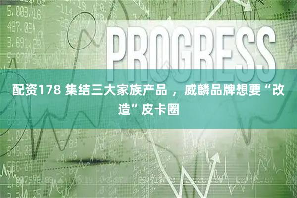 配资178 集结三大家族产品 ，威麟品牌想要“改造”皮卡圈