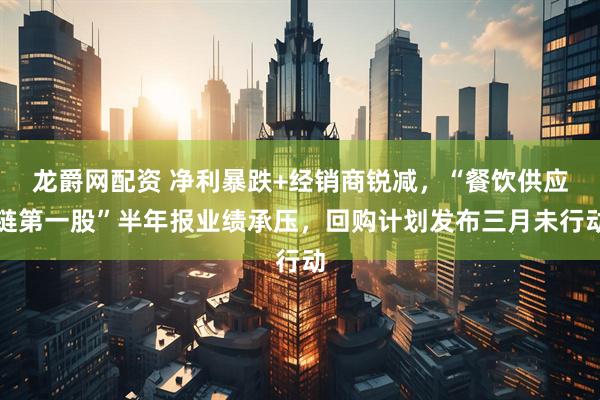 龙爵网配资 净利暴跌+经销商锐减，“餐饮供应链第一股”半年报业绩承压，回购计划发布三月未行动