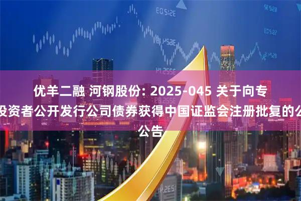 优羊二融 河钢股份: 2025-045 关于向专业投资者公开发行公司债券获得中国证监会注册批复的公告